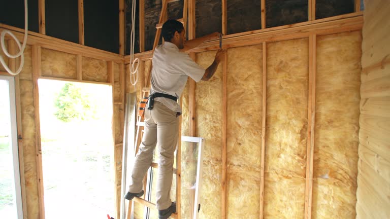 Eco-Friendly or Green Insulation Solutions in Reisterstown, MD